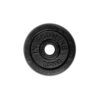 Liatinový kotúč inSPORTline CastCzech 0,5 kg 30 mm