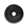 Liatinový kotúč inSPORTline CastCzech 2,5 kg 30 mm
