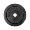Liatinový kotúč inSPORTline CastCzech 5 kg 30 mm