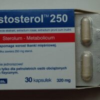 Testosterol 250 - Megabol 30 kaps
