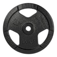 Liatinový kotúč inSPORTline Hamerton Black 20 kg 30 mm