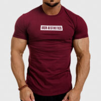 Pánske fitness tričko Iron Aesthetics Boxed, bordové