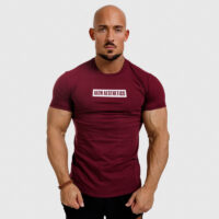 Pánske fitness tričko Iron Aesthetics Boxed, bordové